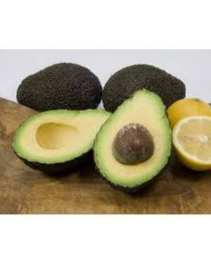 aguacate partido, semilla hueso tito de aguacate